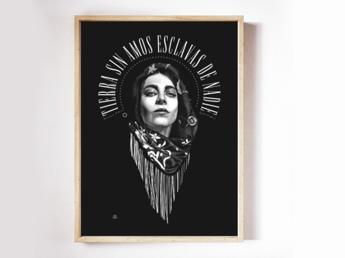 // Lámina // Gata Cattana