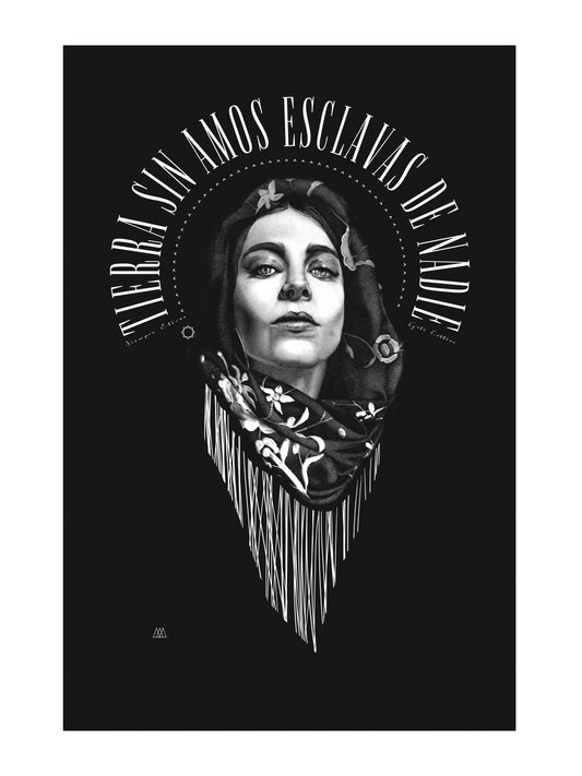 // Lámina // Gata Cattana