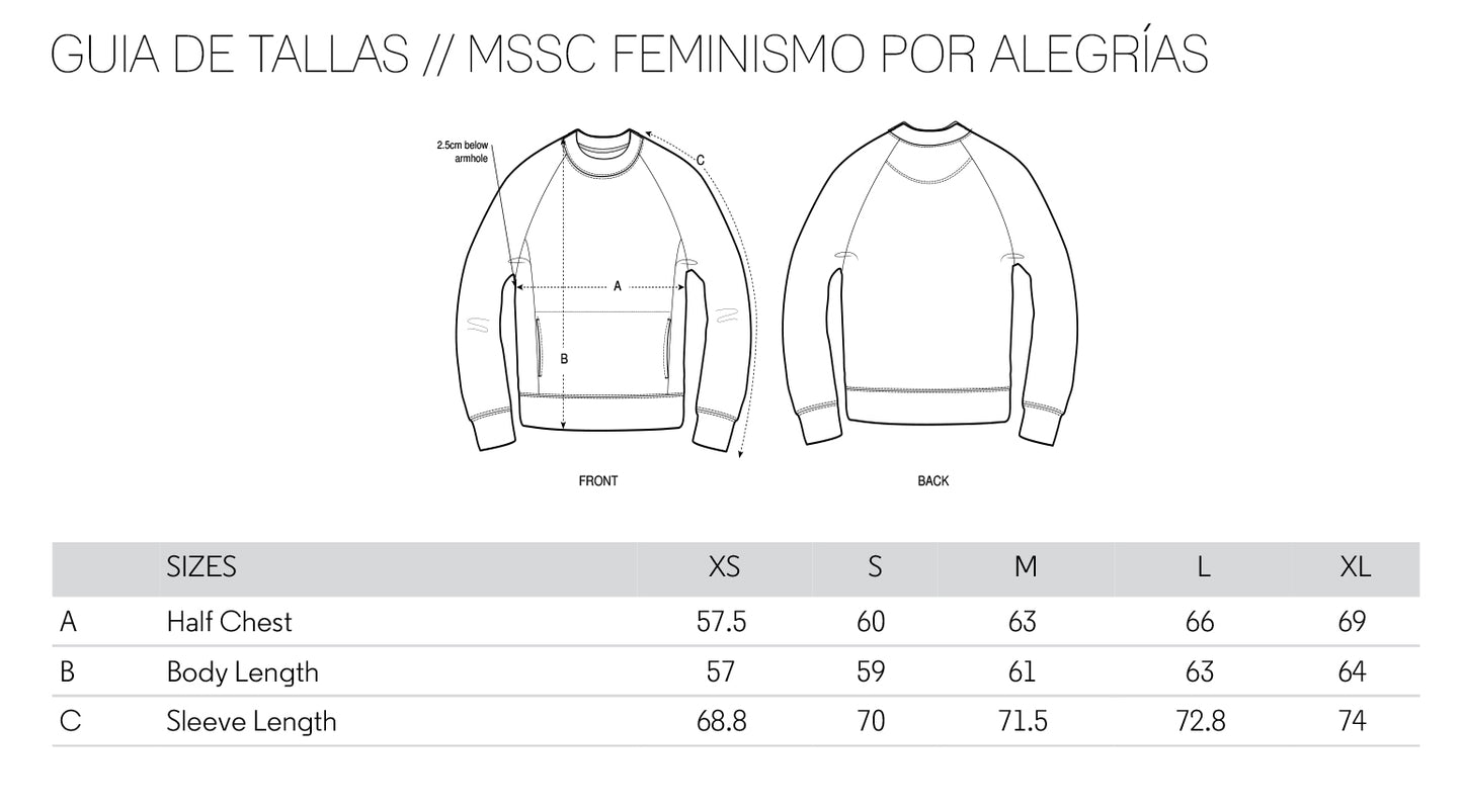 Feminismo por Alegrías